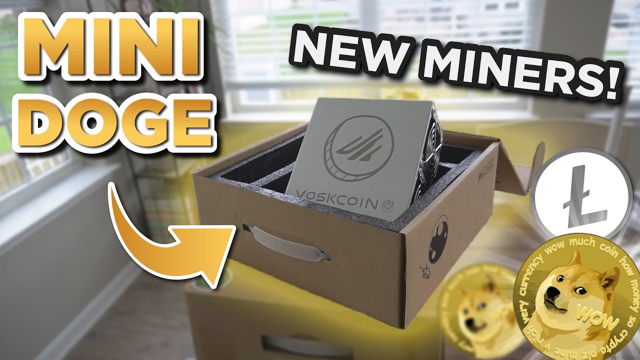 NEW DOGE MINERS! VoskCoin Mini-Doge Miner Review
