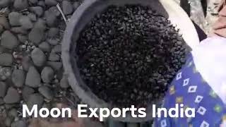 Black River Pebble / Black River Pebbles Manufacturer / Black River Pebbles Supplier-Moon Exports