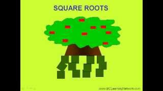 BCLN - Square Roots