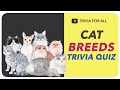 Guess the Cat Breed Quiz