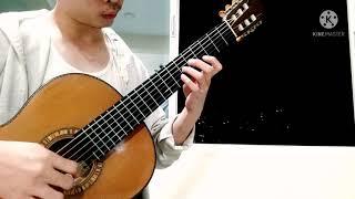 The black Cocaktoo flying alone by Richard Charlton, performed by Ungrumso Raman (Classical guitar)