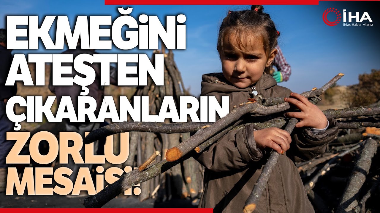 Meşe Odunu Bin Bir Zahmetle Kömüre Dönüşüyor