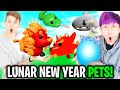 LankyBox Reacts To NEW ADOPT ME UPDATE 2021!? (NEW UPDATE PETS REVEALED!?)