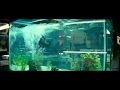 Piranha 3d  trailer franais