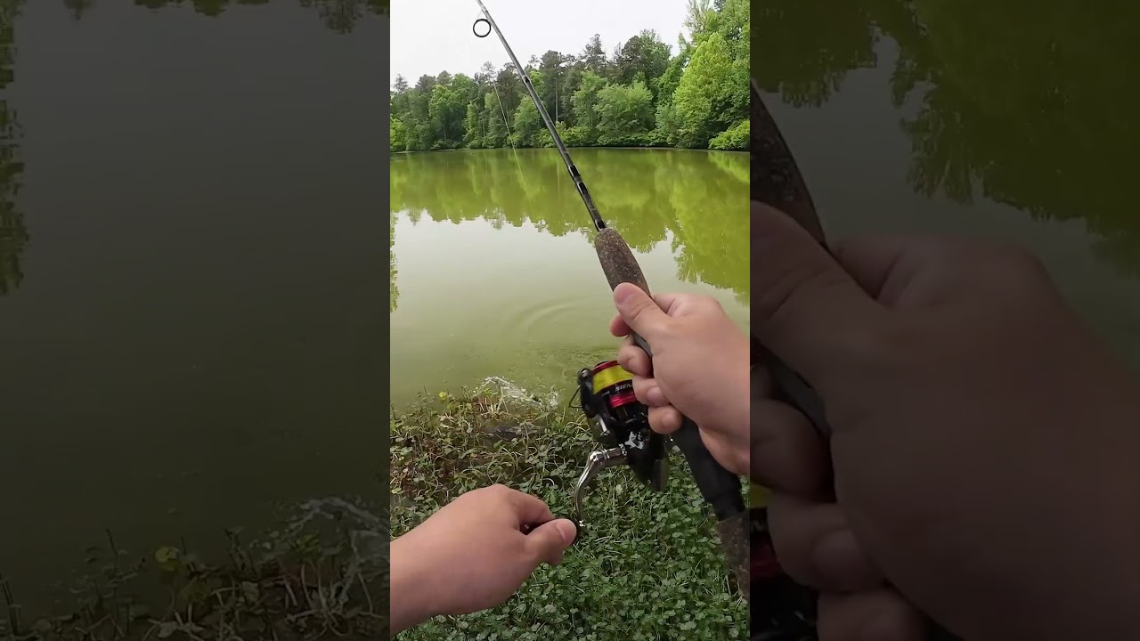 Summer Ultralight Fishing