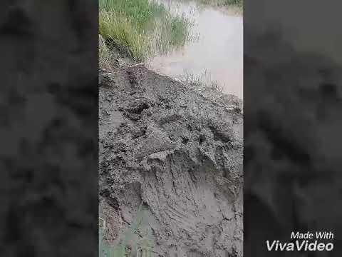 Video: Apa Yang Harus Digunakan Dan Bukannya Runtuhan? Batu Pecah Pecah Dan Tanah Liat Yang Diperluas. Bagaimana Cara Menggantinya Dengan Konkrit Dan Adakah Mungkin Menggunakan Batu Bata 