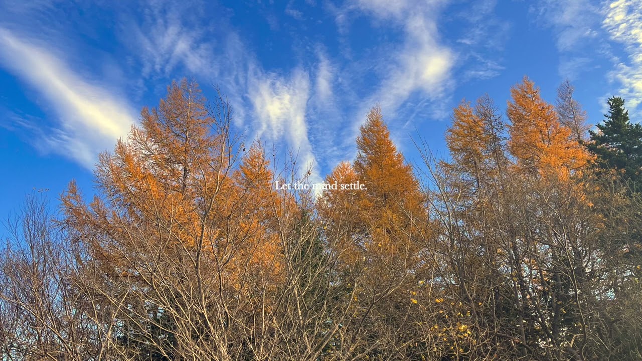 quiet focus in busy days. — soft piano playlist for work & study