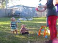 Onyx and iris playing with bubbles