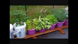 How To Build The Self Watering Rain Gutter Grow System! (101)