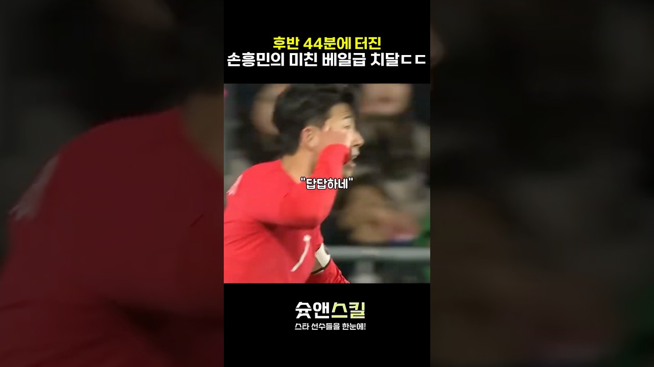 후반 44분에 나온 손흥민 미친 베일급 치달