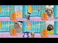 Garfield Answers The Door To Random Strangers 15 2020 MEMES EDITION Siren Head Cat Vibing Garfield Answers The Door To Random Strangers 15 2020 MEMES EDITION Siren Head Cat Vibing