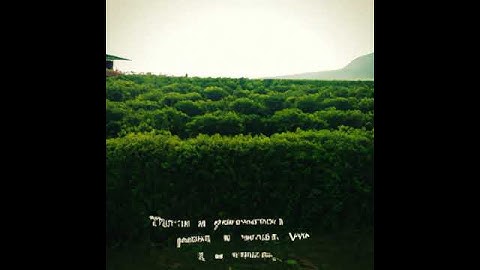 Ai generated 2 joke: command