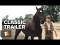 Black Beauty (1994) Official Trailer - Sean Bean, Jim Carter Horse Movie HD