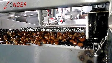 Fried Broad Beans Production Line|Peanut Frying Machine Process