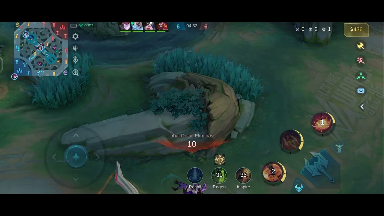 Hanabi side line fighter emblem