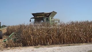 Donald Trump's trade battle with China puts American soybean farmers in peril