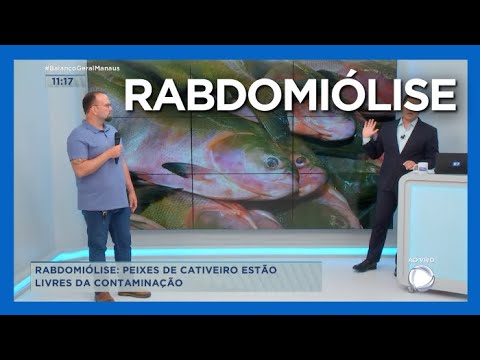 Vídeo: Como O Peixe é Testado Para Contaminação