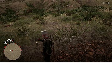 Red Dead Redemption 2 Error: 0x20010006