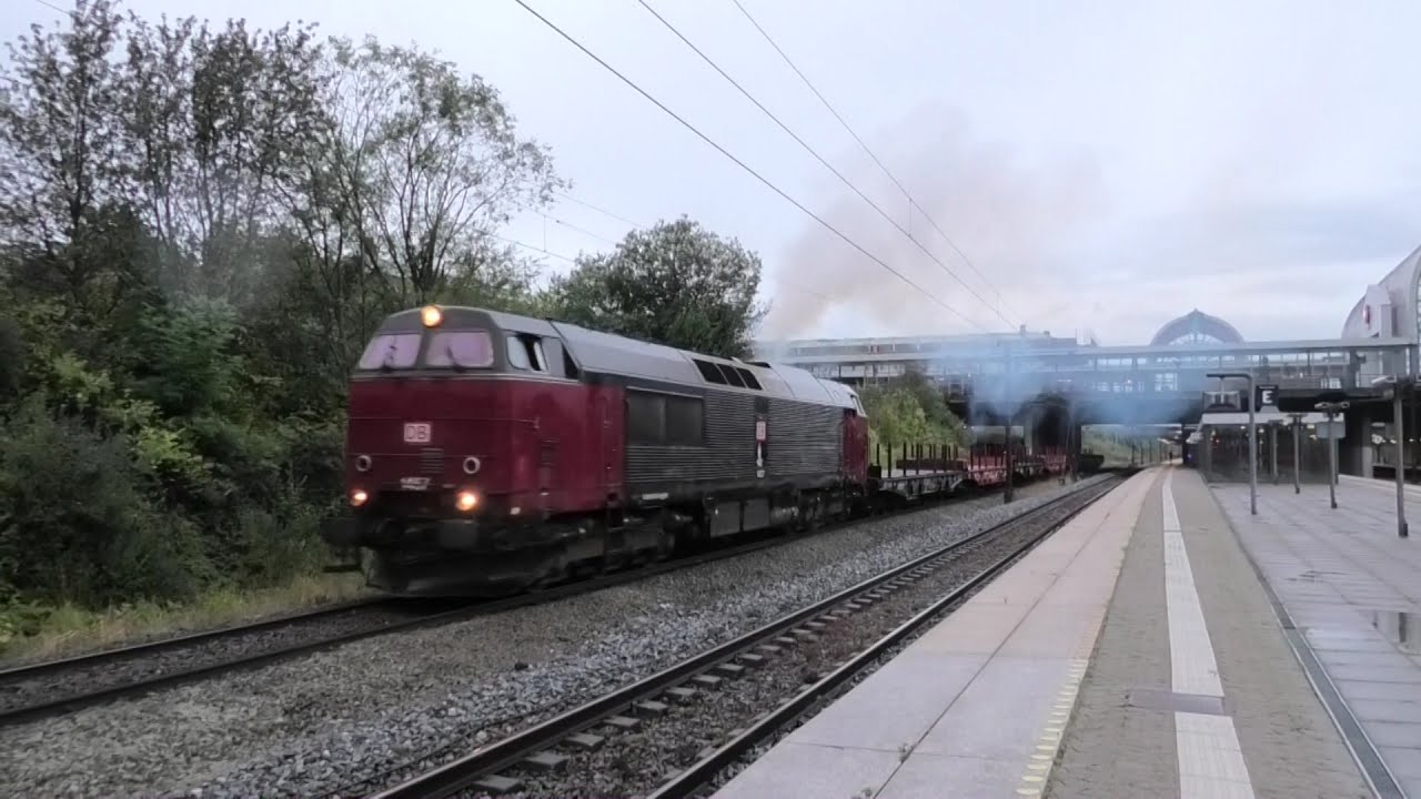 (HD) DSB Trains at Høje-Taastrup, Roskilde & Odense - Denmark - 6/9/19