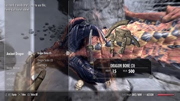 skyrim is a perfect game with no bugs whatsoever