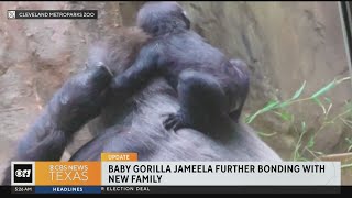 Baby Jameela continuing to bond with surrogate mother in Cleveland