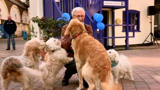 Paul OGrady for the love of dog 30 Jo feedback