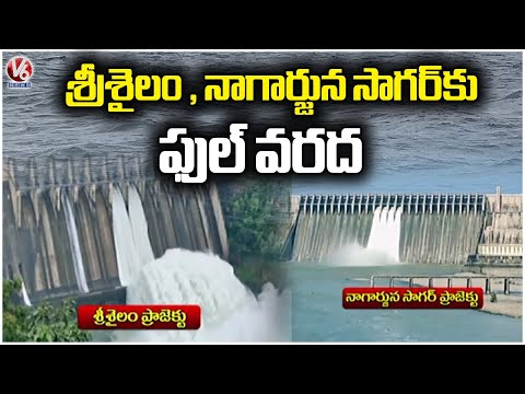 Huge Flood Inflow In Srisailam Project & Nagarjuna Sagar Project | V6 News - V6NEWSTELUGU