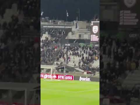 pek paok vs