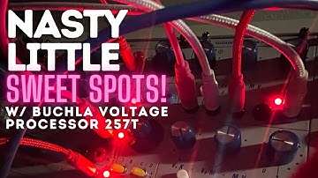 Heavy Metal Sounds w/ BUCHLA Voltage Processor 257t