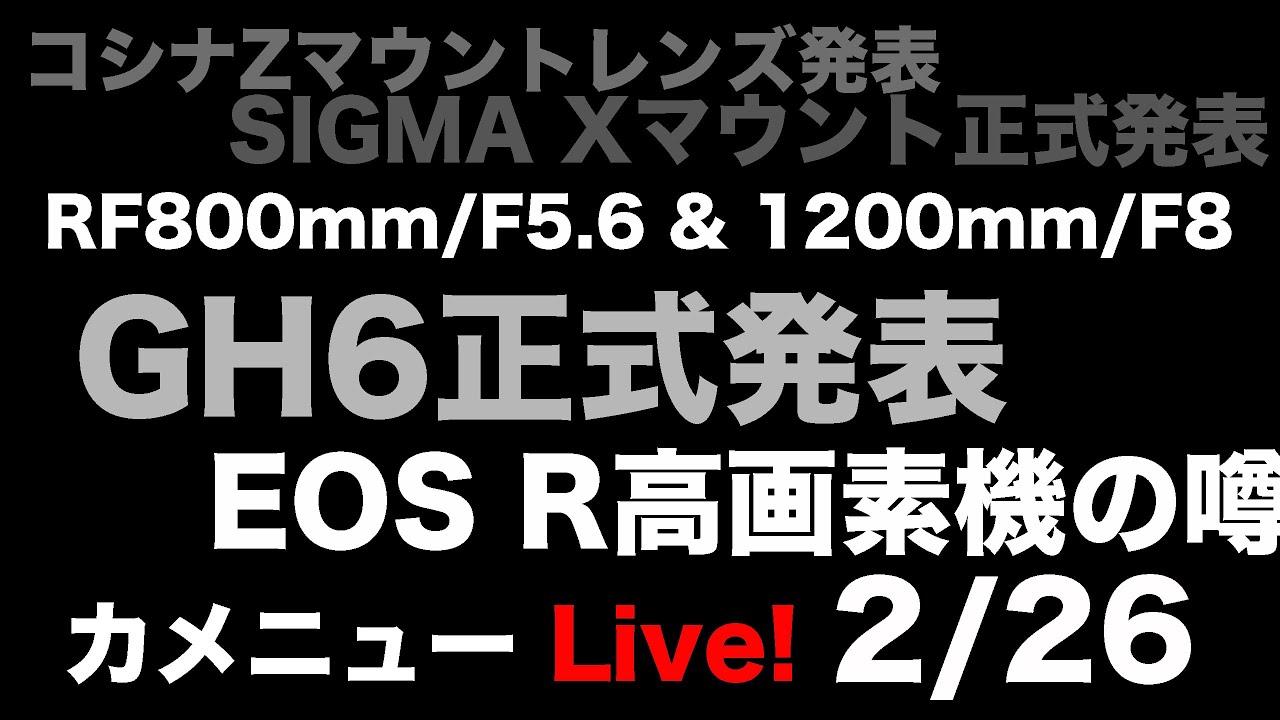 ドラムユニット036 CRG-036DRM キヤノン 9450B001 プリンター・FAX用インク