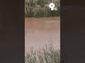 El Paso Water begins seasonal treatment of Rio Grande