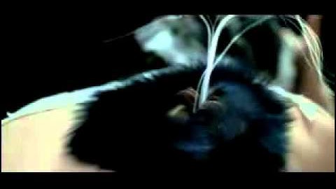 unravel - bjork (official video)