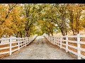 Stevens Road, A Legacy Ranch and Estate