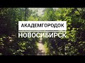 [4K] Прогулка по Академгородку, Новосибирск, 2020.