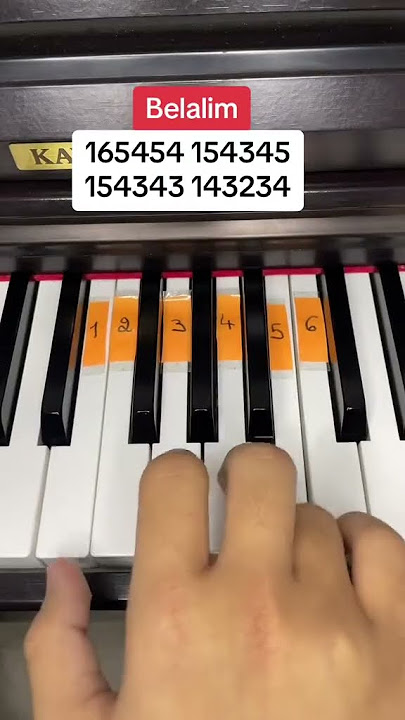 Belalim | Piano Tutorial #piano #pianolessons #pianolession #pianolessonsonline #music #pianotuning