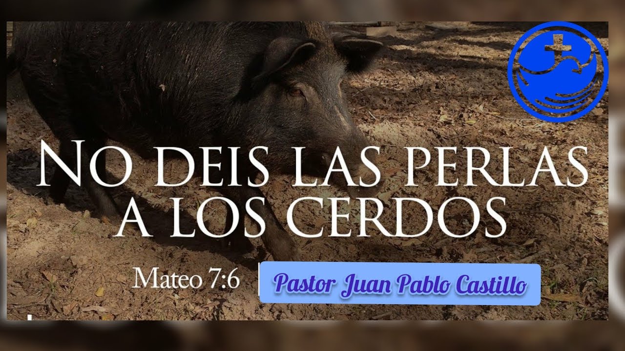 No Eches Las Perlas A Los Cerdos