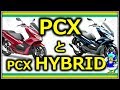 PCXとPCXハイブリッドの違いを高難易度資格保持者が解説する【バイク】