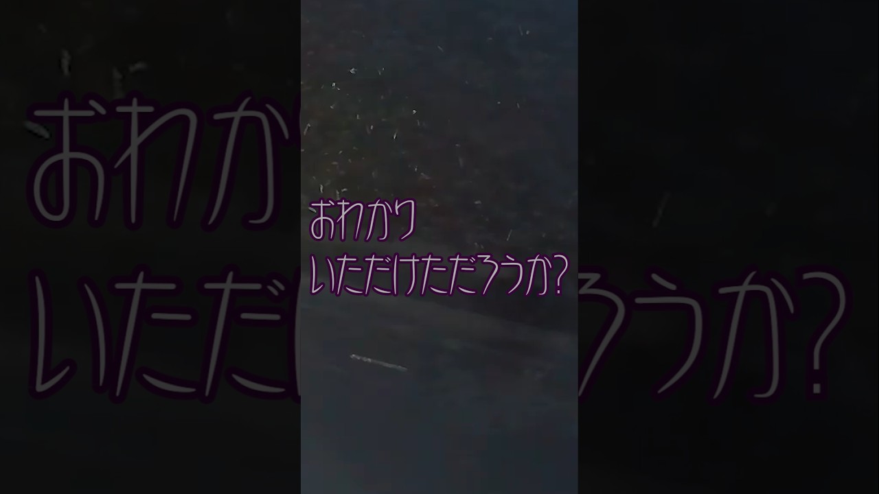 おわかりいただけただろうか？#オカルト #心霊 #ミステリー