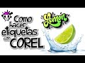 🎫Como DISEÑAR PACKAGING FACIL en COREL🎫 Tutorial para aprender algunos trucos y hacerlo rápido!