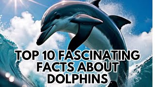 Deep Dive - Top 10 Fascinating Facts about Dolphins!