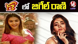Pooja Hegde To Do Item Song In F3 Movie | Venkatesh | Varun Tej | V6 Life