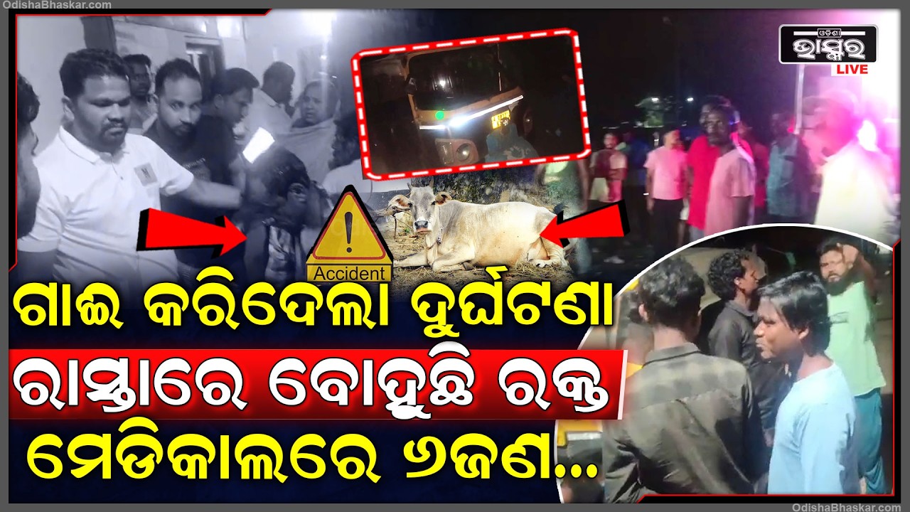 ଗାଈ କରିଦେଲା ସିରିଜ ଦୁର୍ଘଟଣା...ରାସ୍ତାରେ ପଡିଛି ମେଞ୍ଚା ମେଞ୍ଚା ର-କ୍ତ, ଗୁରୁତର ଅବସ୍ଥାରେ ମେଡିକାଲରେ ୬ଜଣ...