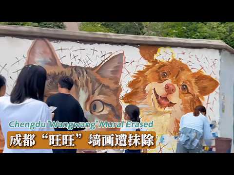 "Wang Wang" portrait appears on Chengdu's "Cat Wall," erased after just one day (09/21-22/2026)