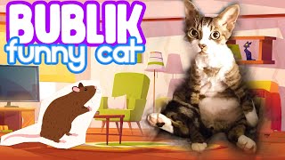 Bublik cat's working day by Bublik funny cat 266 views 3 years ago 7 minutes, 58 seconds