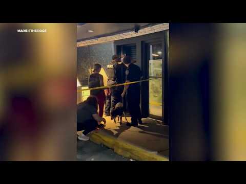 21 dogs found malnourished, neglected on Long Island
