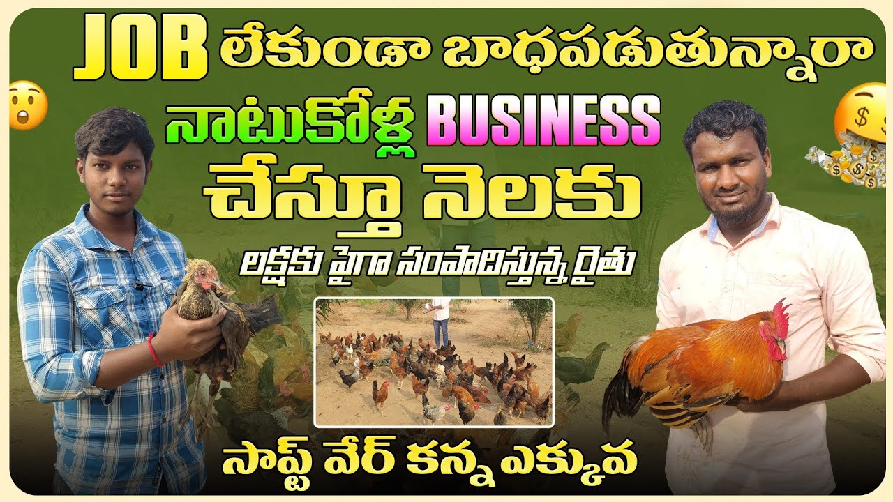 1000 సోనాలి జాతి నాటు కోళ్లు పెంచుతున్న రైతు//సాప్ట్ వేర్ కన్న బాగుంది  #naatukollafarm#telugu#viral