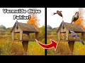 Warum keine Vögel zum Vogelhaus kommen!