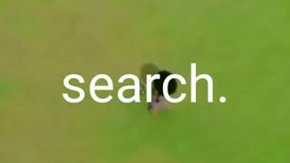 Download Lagu S  A  D     B  O  Y  //  MEME. MP3