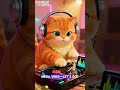 become a DJ with EDM Light Party, Marvelous Nigth #cat #funny #cute #funnycats #cutecat #kitten