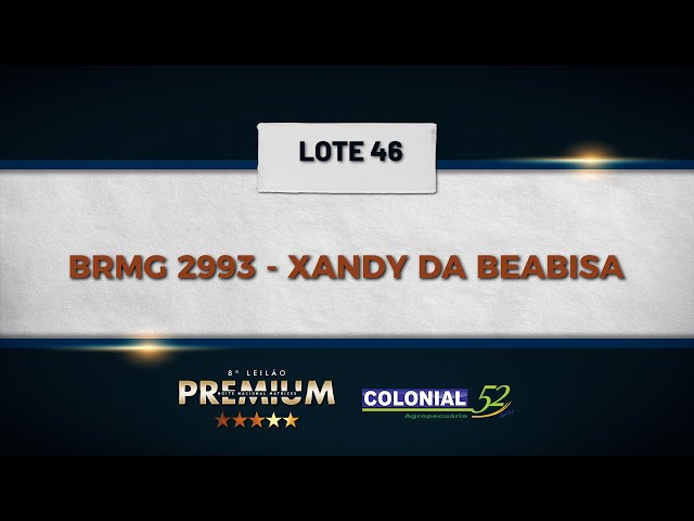 LOTE 46 BRMG 2993